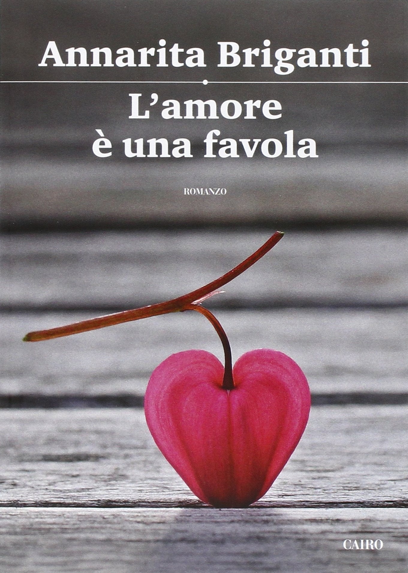 L'amore è una favola book