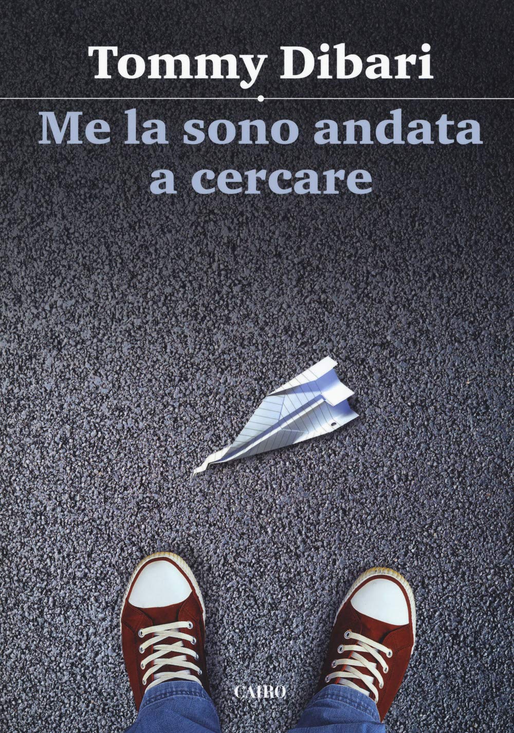 Me la sono andata a cercare book