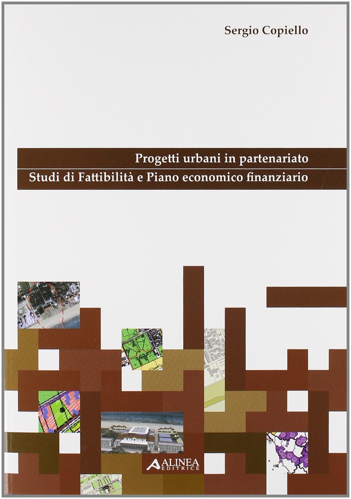 Progetti urbani in partenariato. Studi di fattibilità e piano economico finanziario. Con CD-ROM book