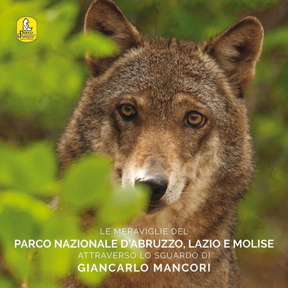 Le meraviglie del parco nazionale d'Abruzzo, Lazio e Molise attraverso lo sguardo di Giancarlo Mancori. Ediz. multilingue book