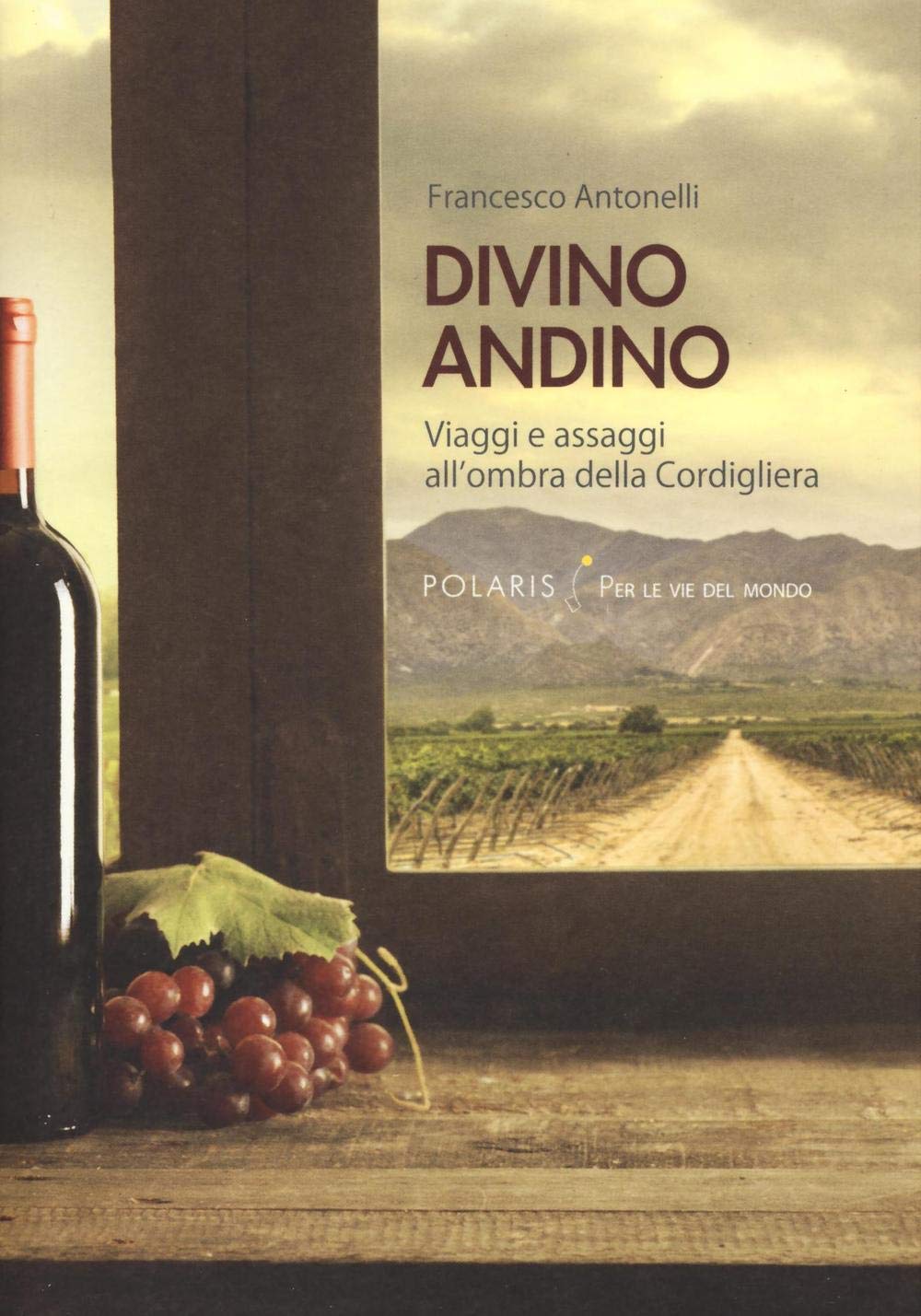 Divino andino. Viaggi e assaggi all'ombra della Cordigliera book