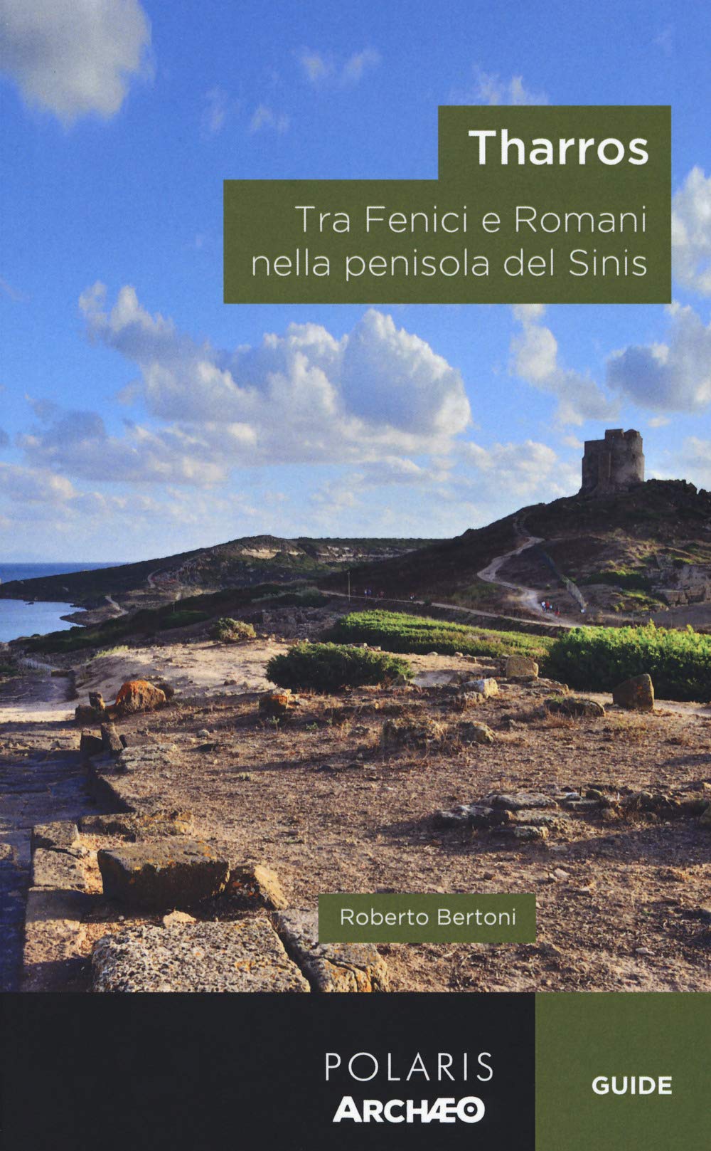 Tharros. Tra fenici e romani nella penisola del Sinis book