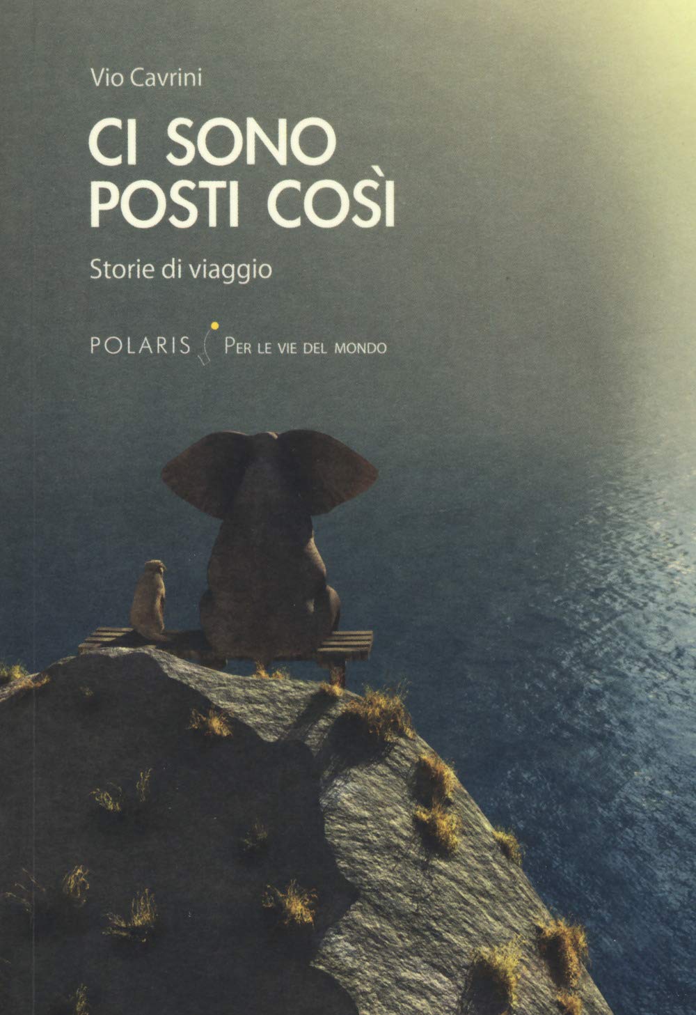 Ci sono posti così. Storie di viaggio book