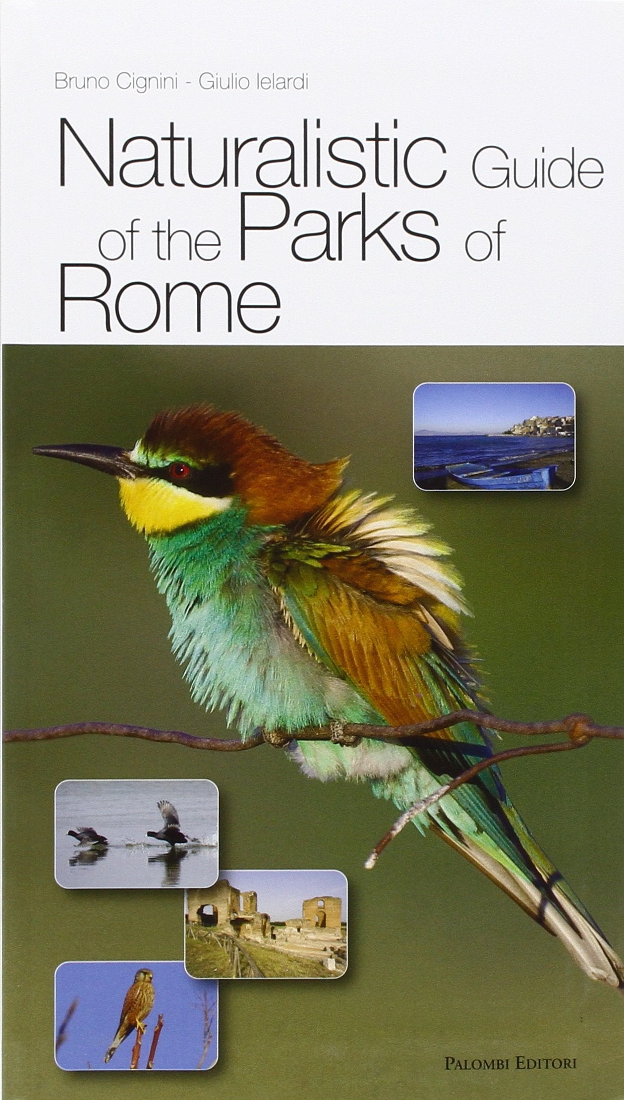 Naturalistic guide of the parks of Rome book