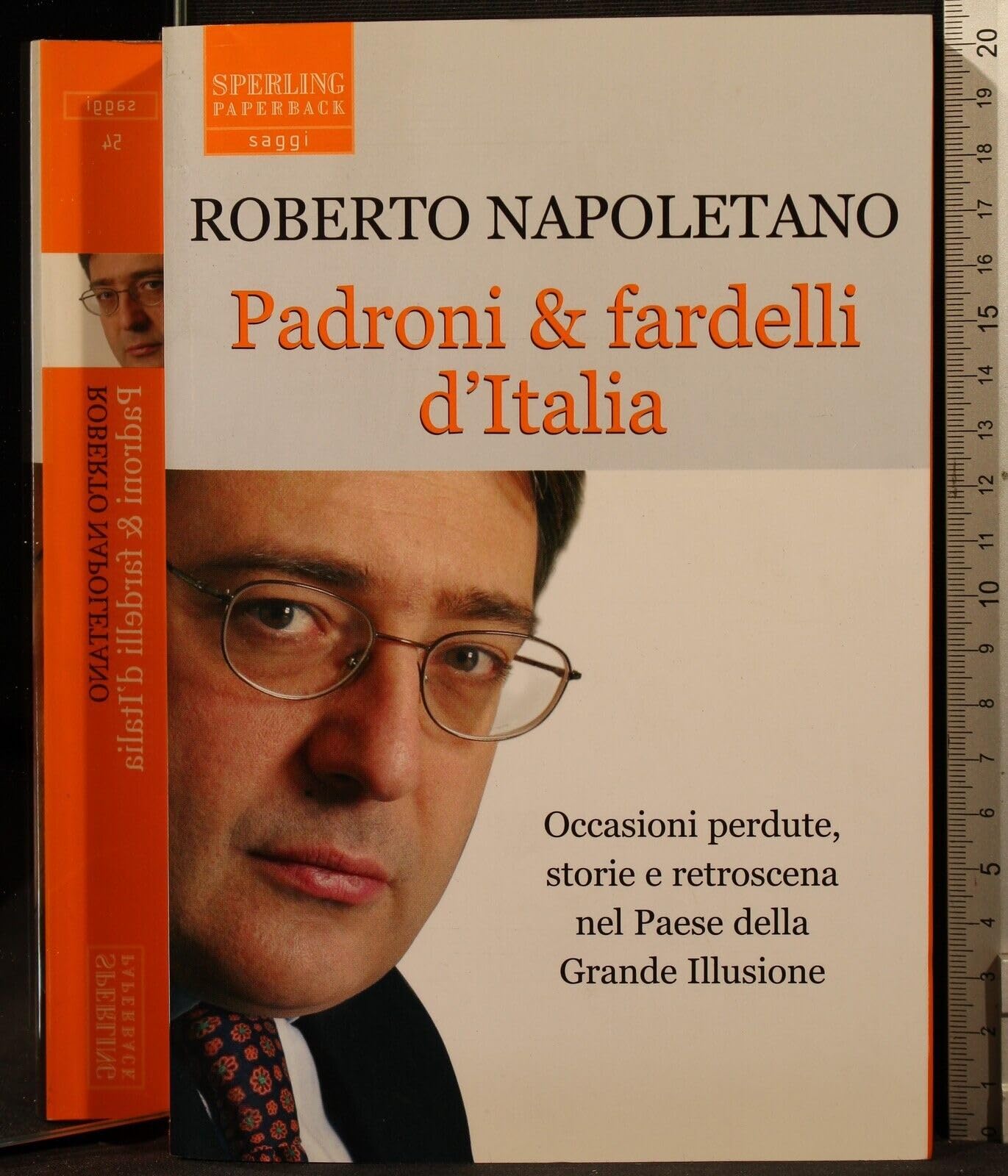 Padroni & fardelli d'Italia (Saggi Paperback) Business, Finance & Career