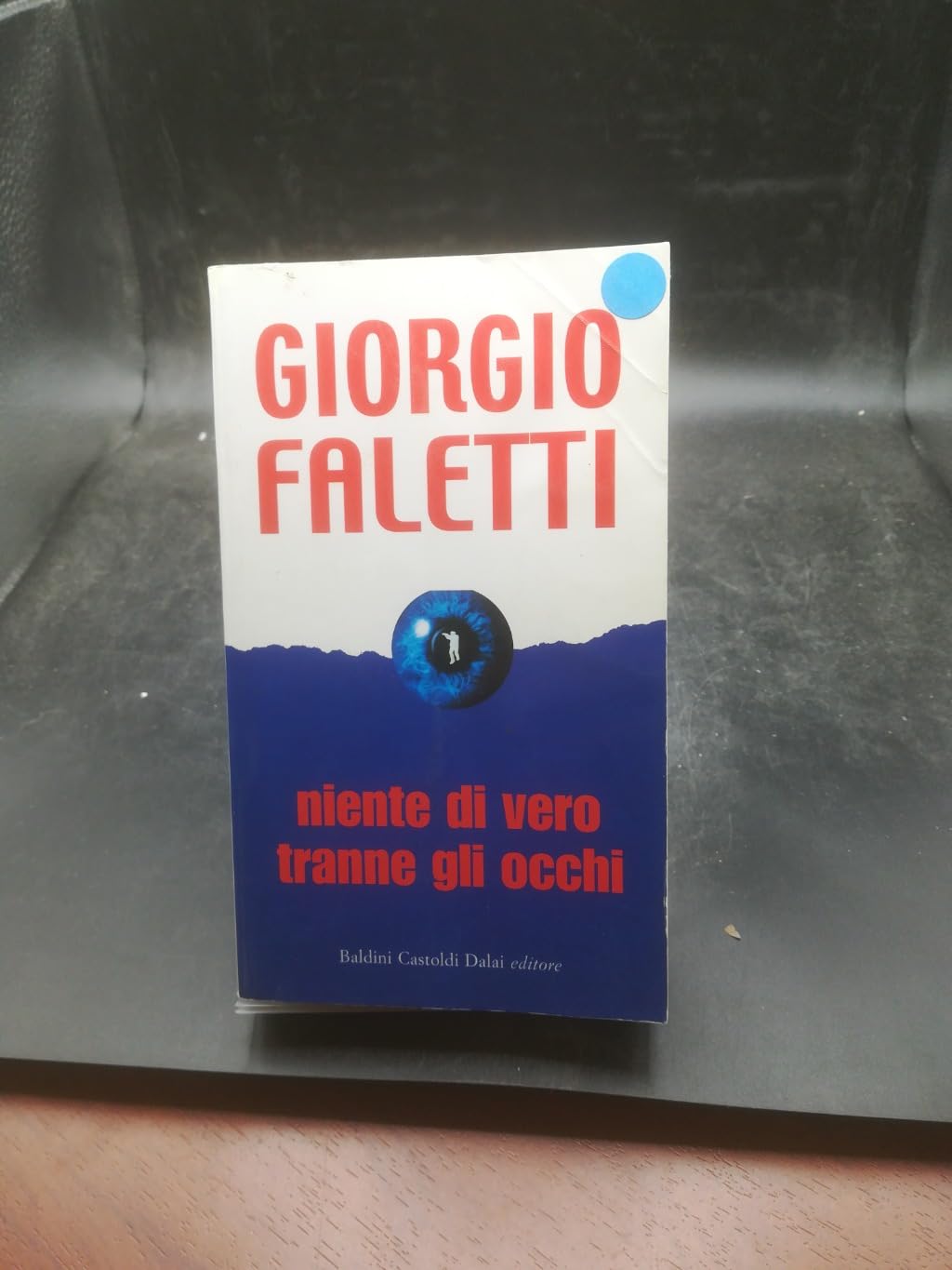 Niente di vero tranne gli occhi (I mini) Contemporary literature