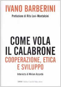 Come vola il calabrone. Cooperazione, etica e sviluppo (I saggi) Business, Finance & Career