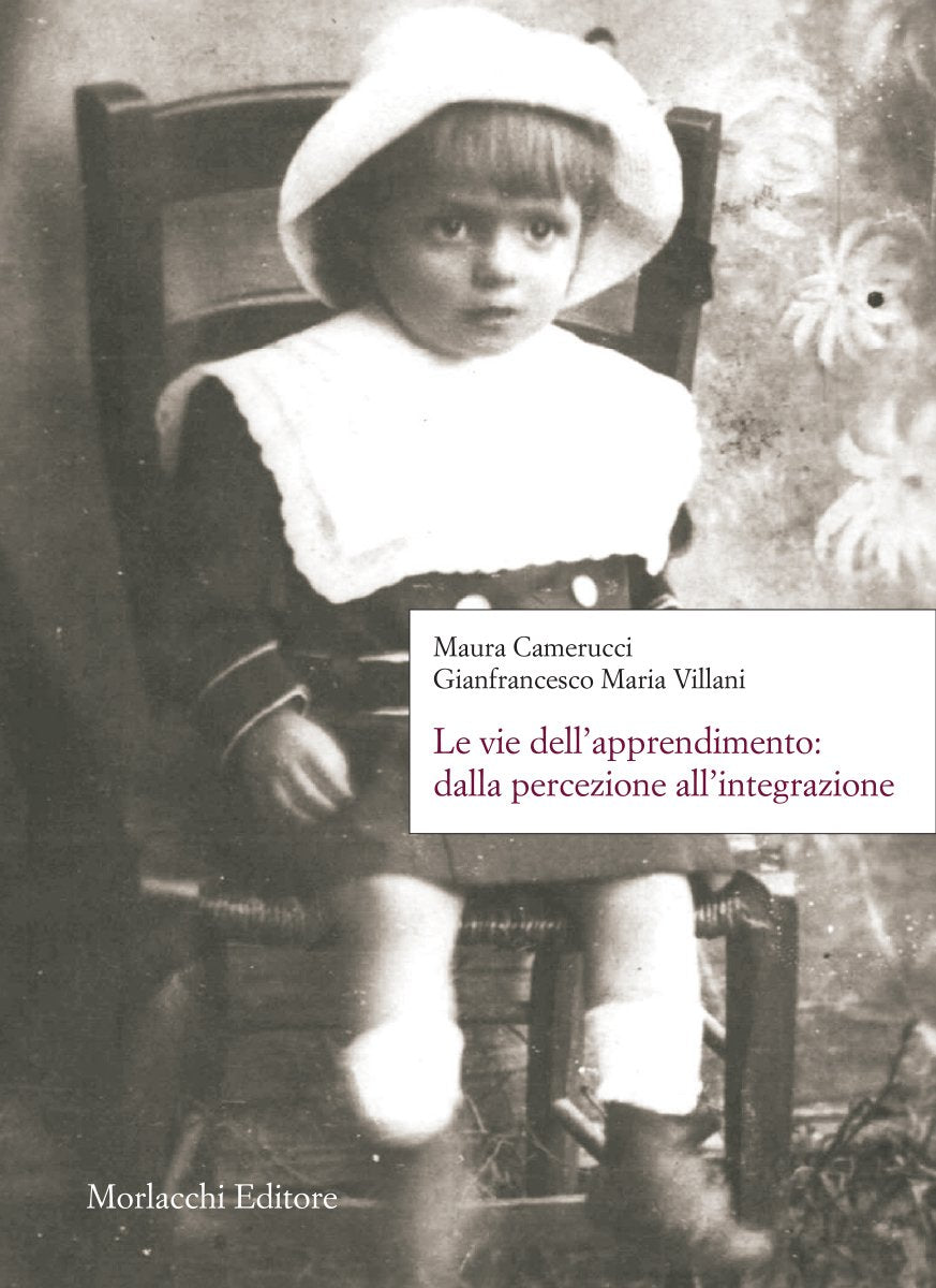 Le vie dell'apprendimento. Dalla percezione all'integrazione book