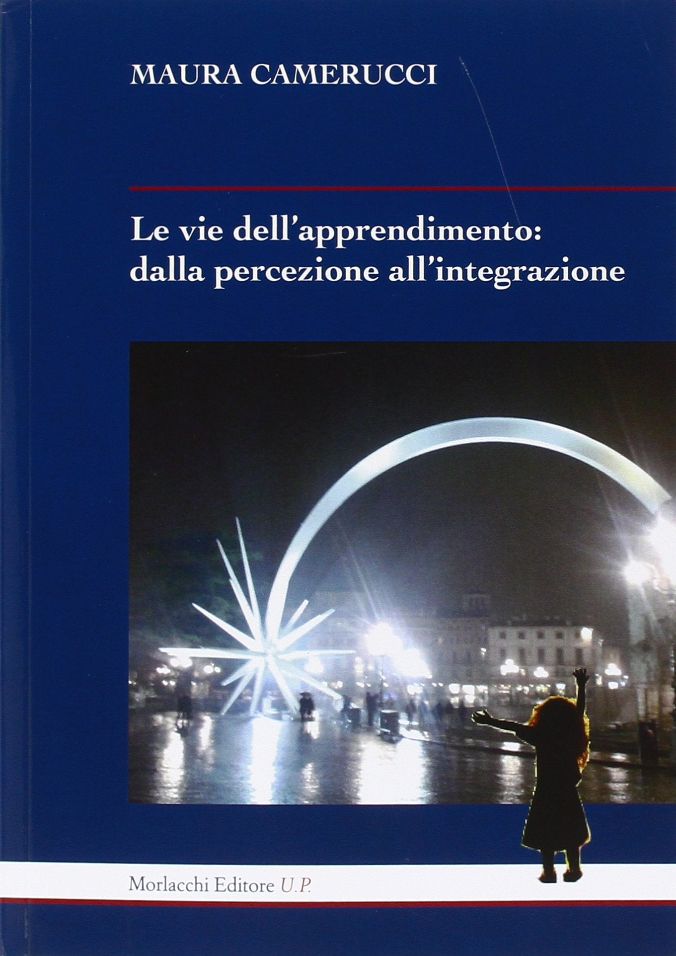 Le vie dell'apprendimento. Dalla percezione all'integrazione book