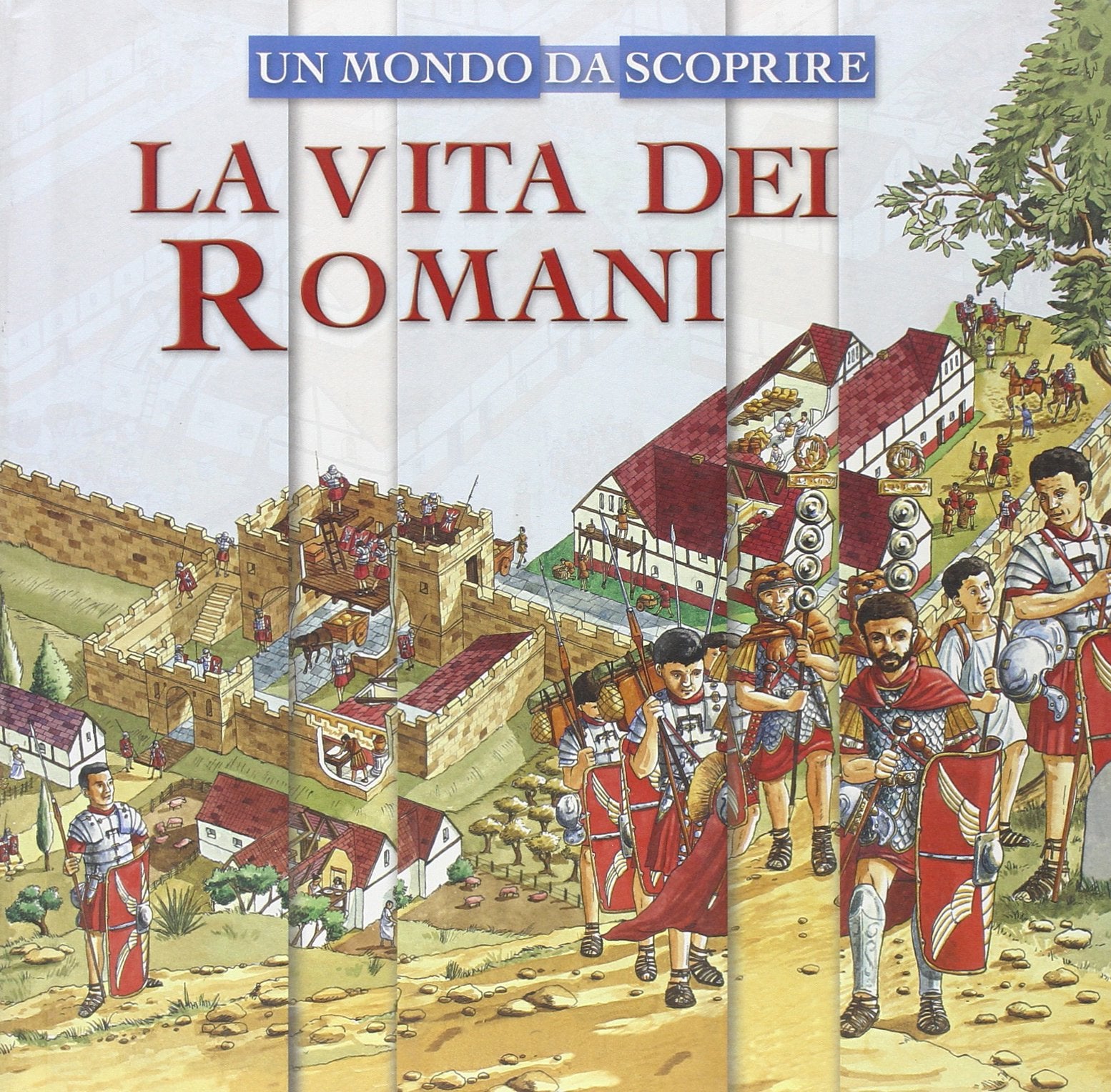 La vita dei romani. Un mondo da scoprire book
