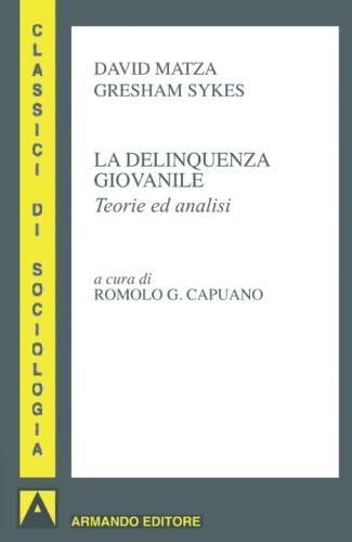 La delinquenza giovanile. Teorie ed analisi book