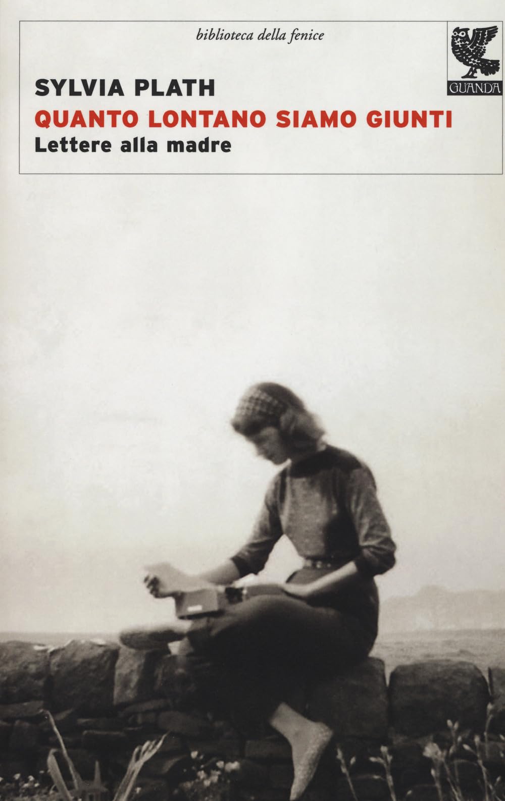 Quanto lontano siamo giunti. Lettere alla madre book