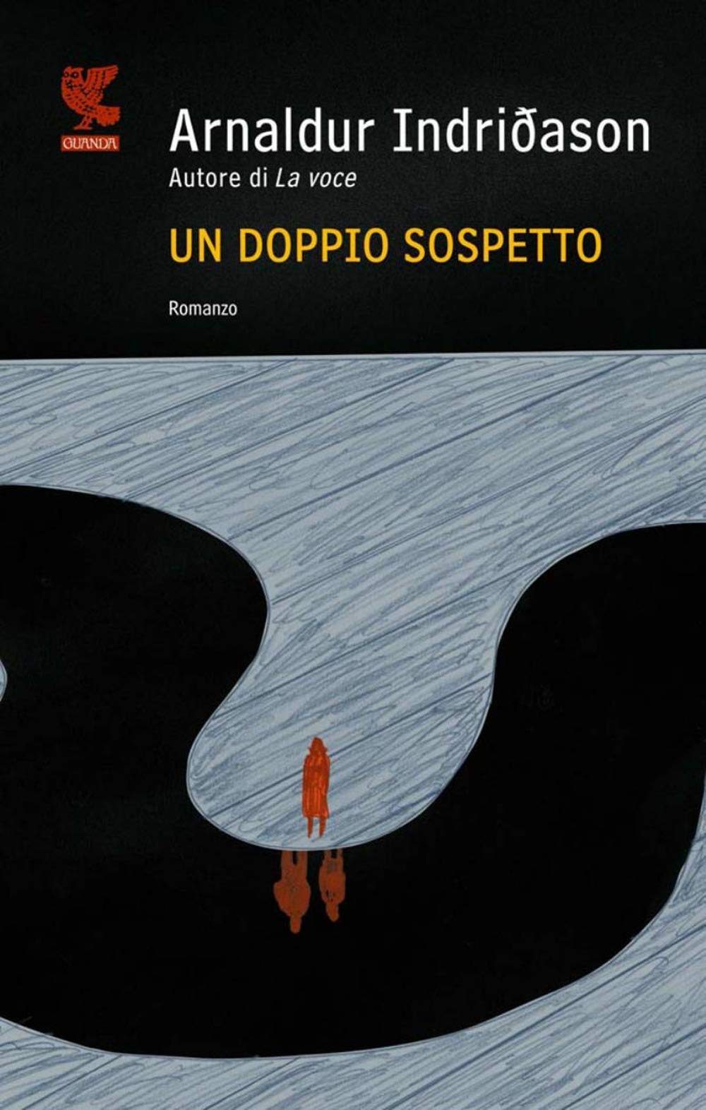 Un doppio sospetto. I casi dell'ispettore Erlendur Sveinsson (Vol. 7) book