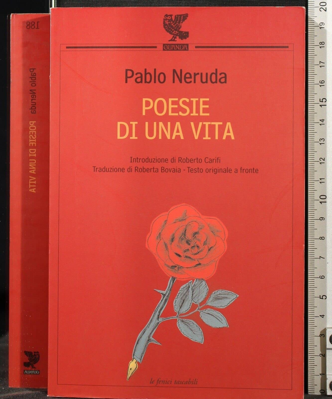 Poesie di una vita. Testo spagnolo a fronte (Le Fenici tascabili) Poetry