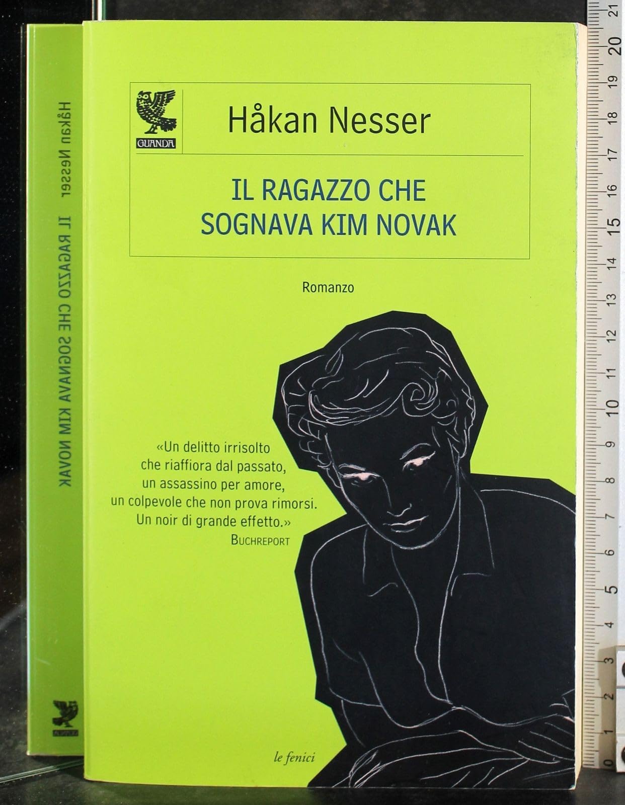 Il ragazzo che sognava Kim Novak Contemporary literature