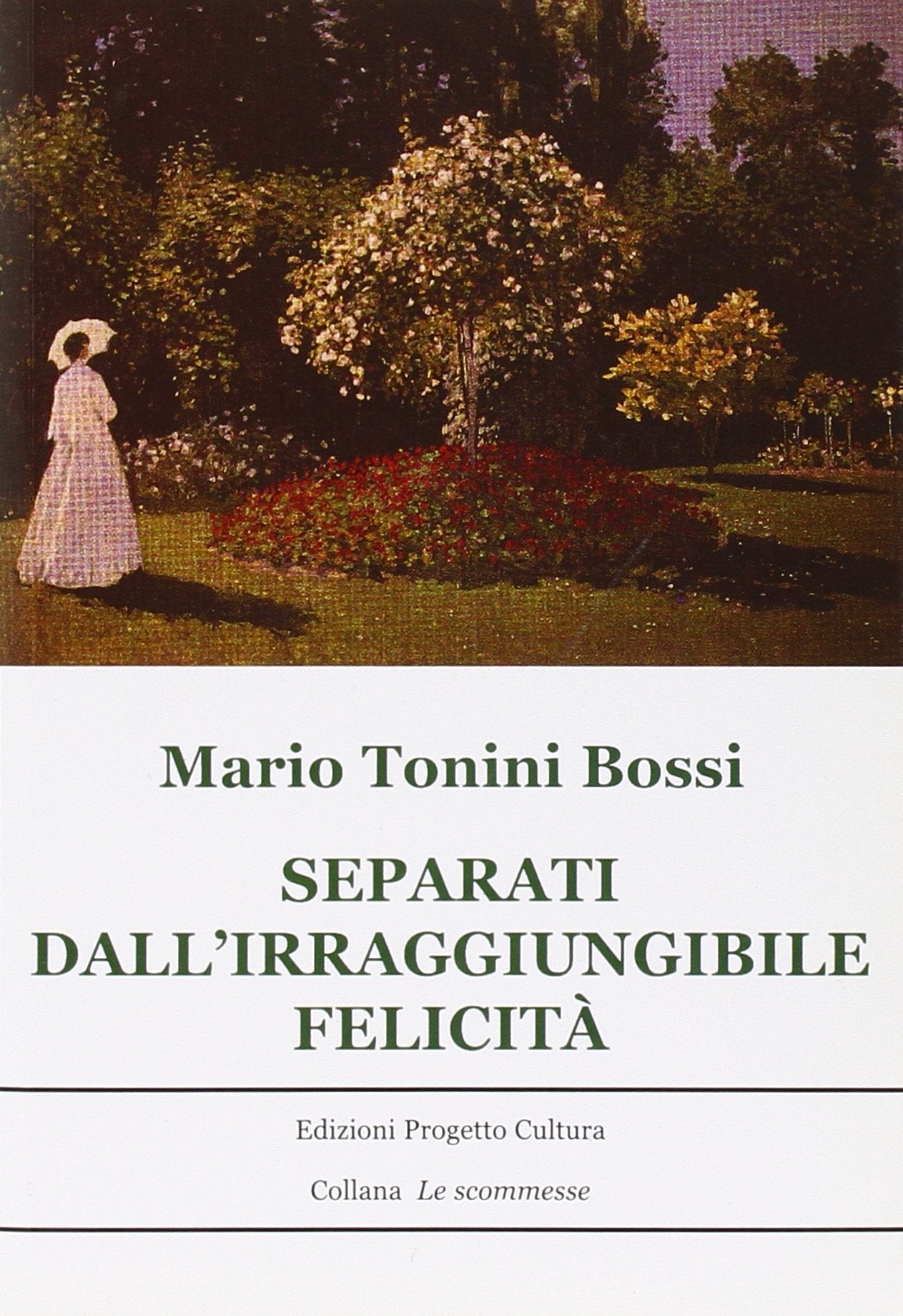Separati dall'irraggiungibile felicità book