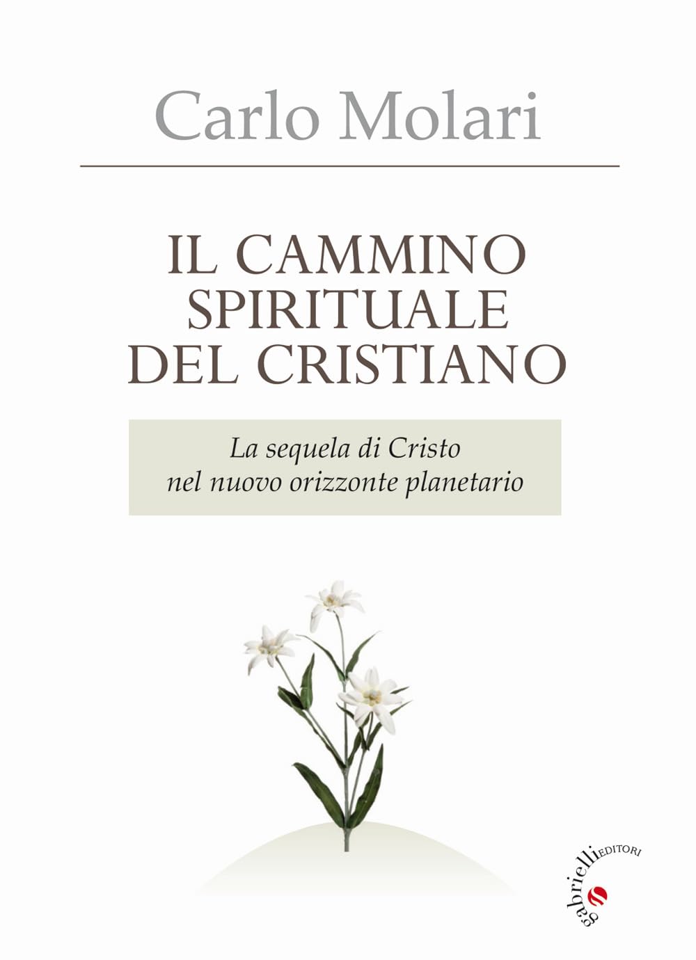 Il Cammino spirituale del cristiano. La sequela di Cristo nel nuovo orizzonte planetario Religion & Esotericism