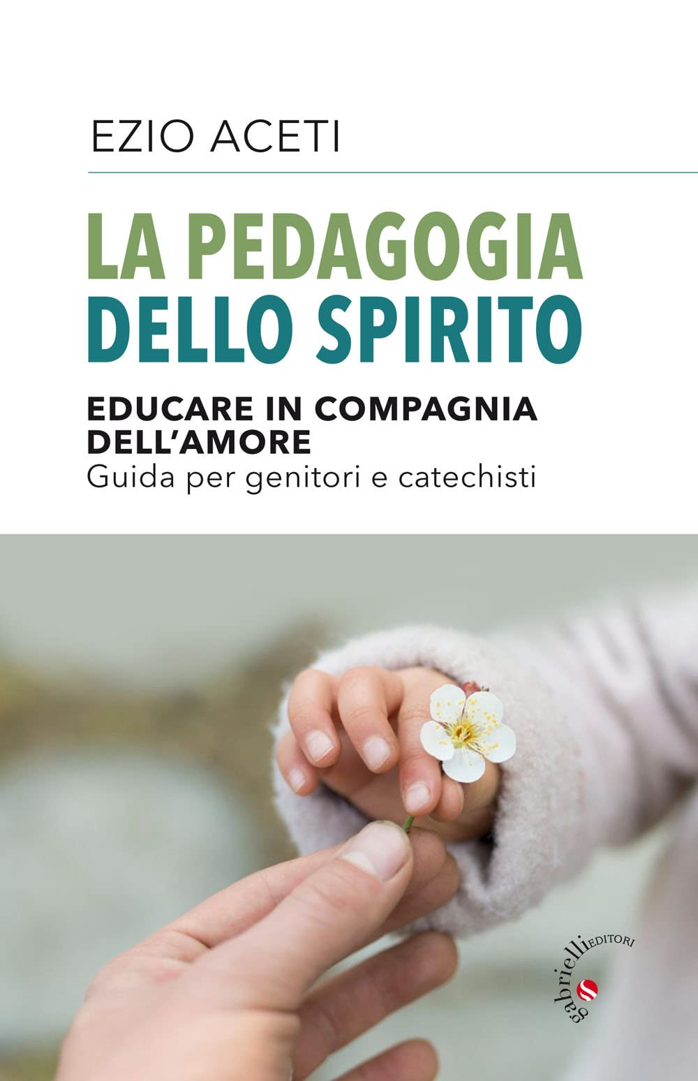 La pedagogia dello spirito. Educare in compagnia dell'amore. Guida per genitori e catechisti book