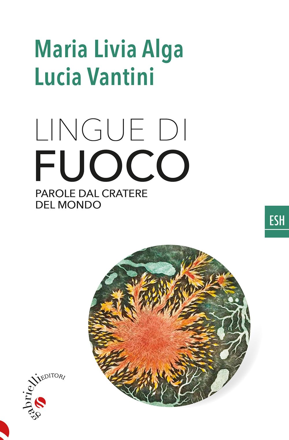 Lingue di fuoco. Parole dal cratere del mondo book