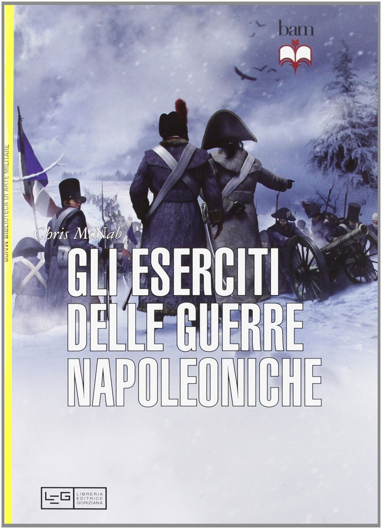 Gli eserciti delle guerre napoleoniche book