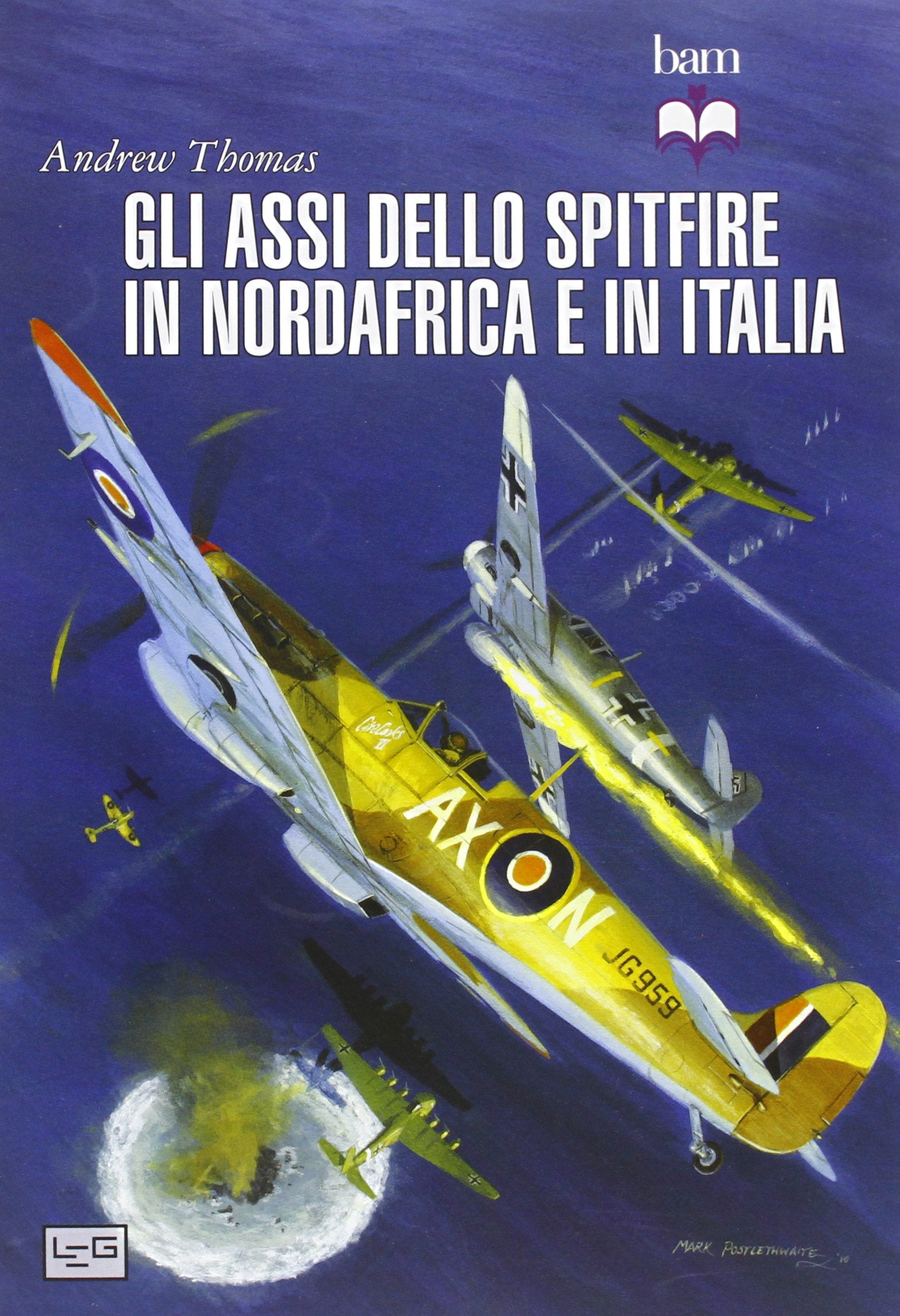 Gli assi dello Spitfire del Nord Africa e Italia (Biblioteca di arte militare) Politics & History