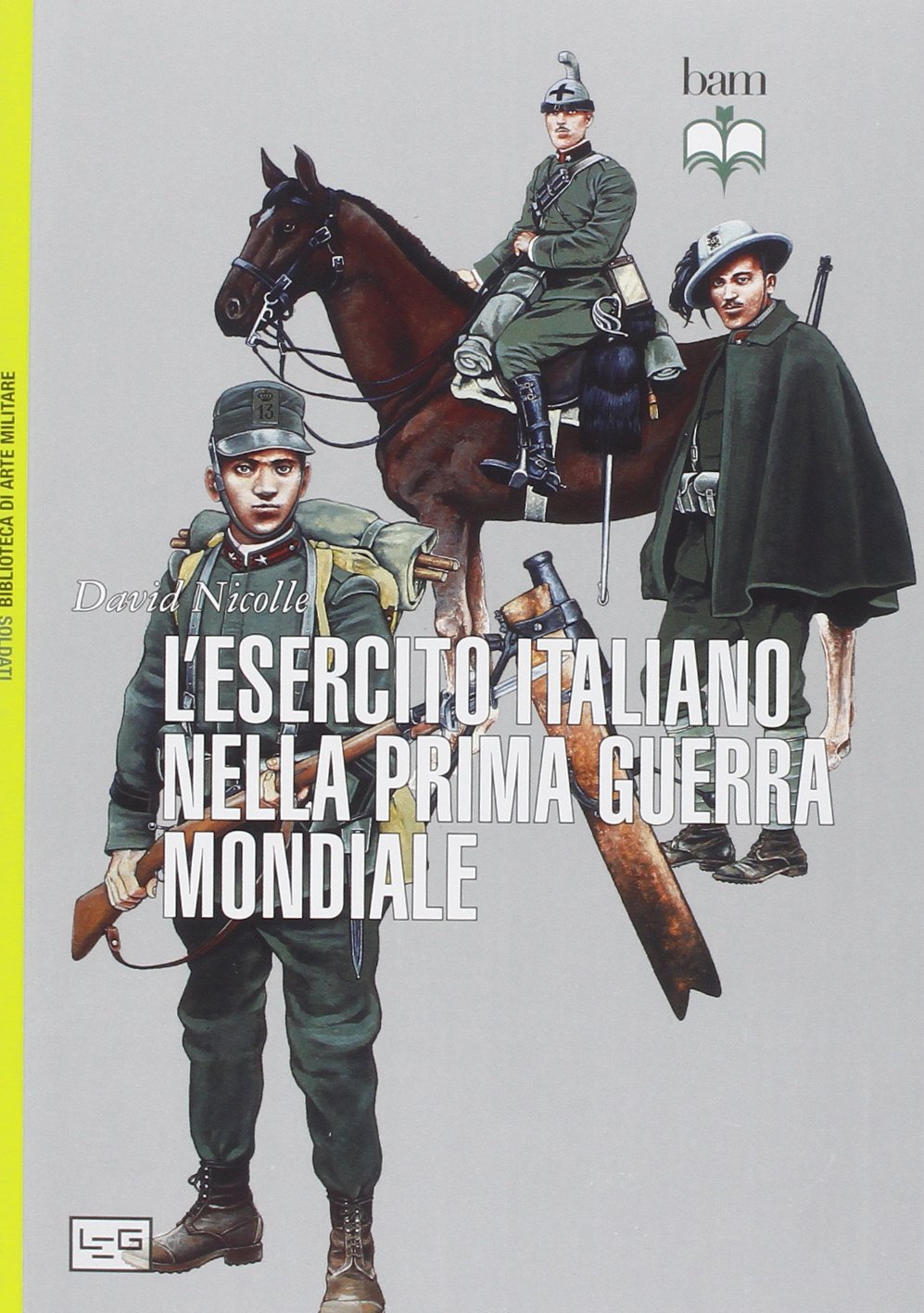 L'esercito italiano nella prima guerra mondiale book