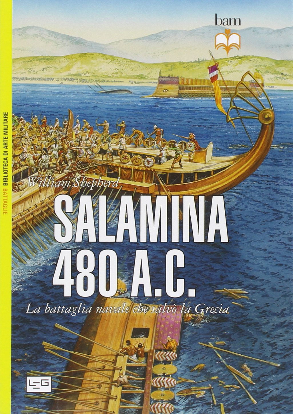 Salamina 480 a.C. La battaglia navale che salvò la Grecia book