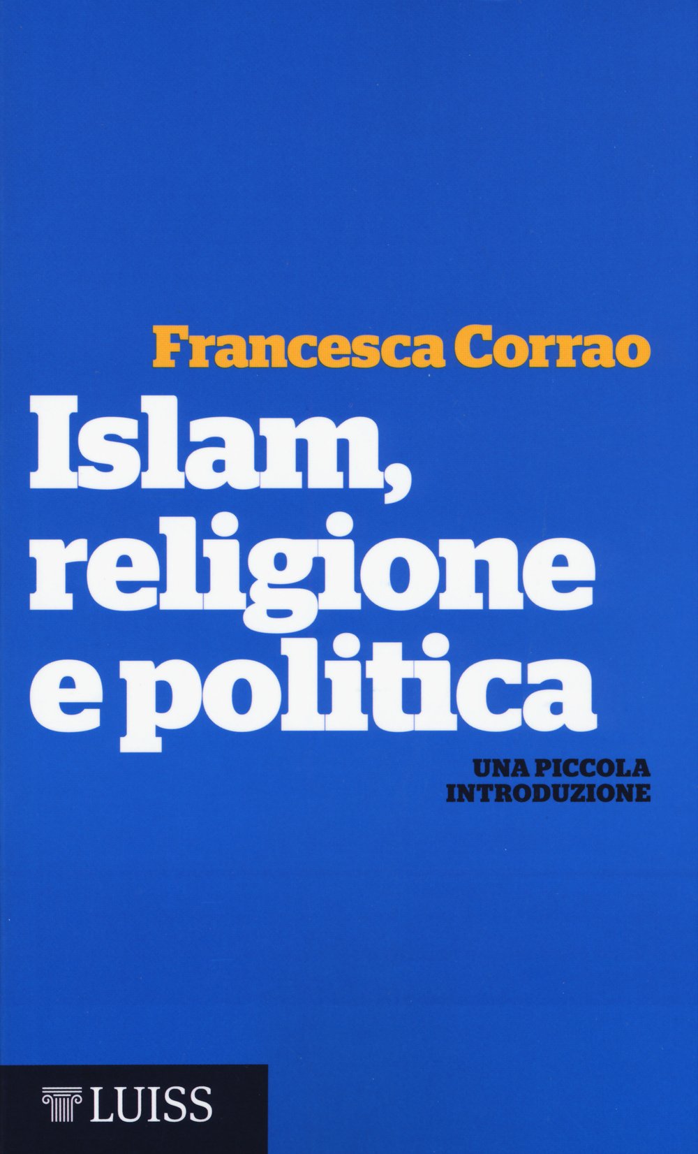 Islam, religione e politica. Una piccola introduzione book