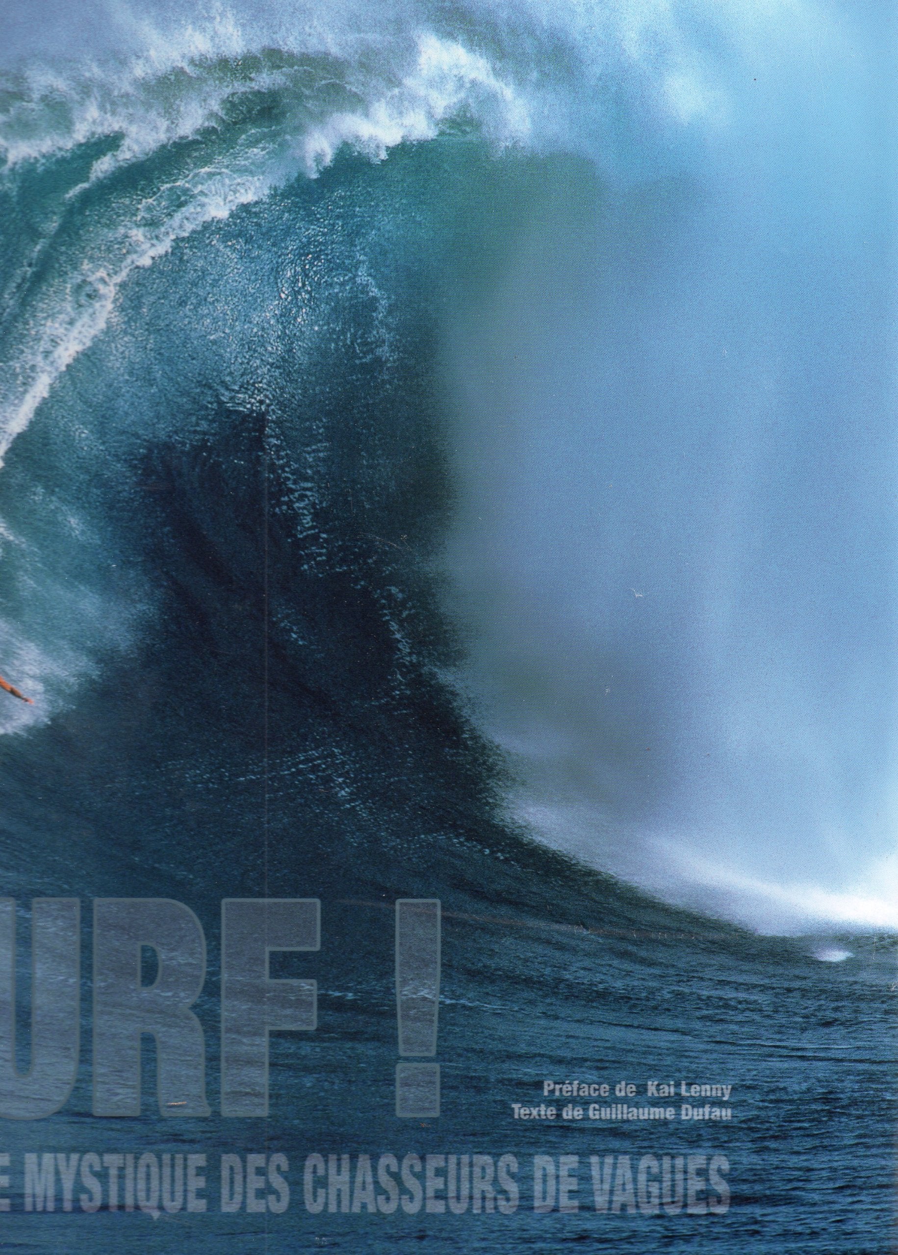 SURF LA QUETE MYSTIQUE DES book