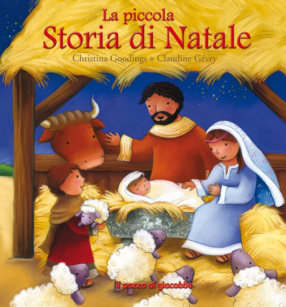 La piccola storia di Natale book
