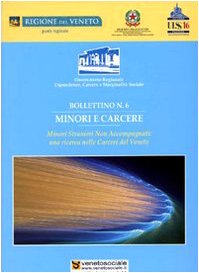 Minori e carcere. Minori stranieri non accompagnati: una ricerca nelle carceri del Veneto book