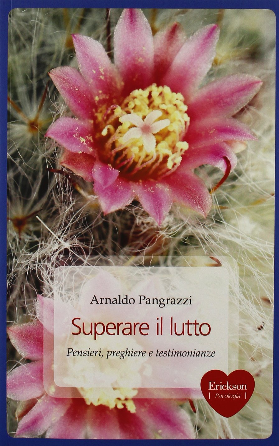 Superare il lutto. Pensieri, preghiere e testimonianze book