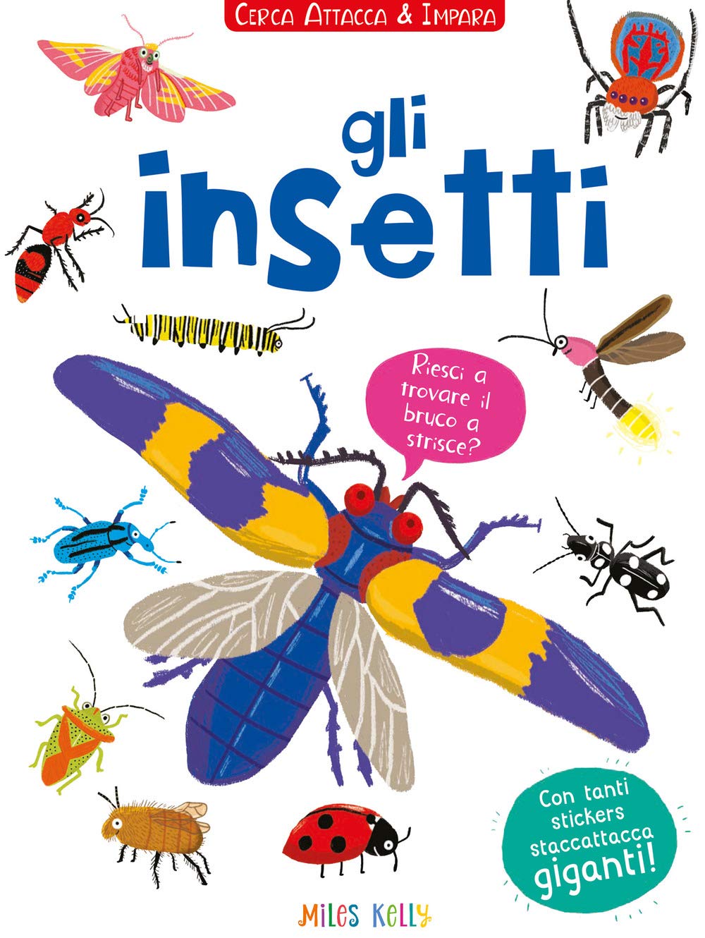 Gli insetti! Cerca attacca e impara. Con adesivi book