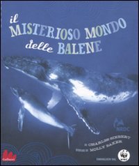 Il misterioso mondo delle balene Non-fiction
