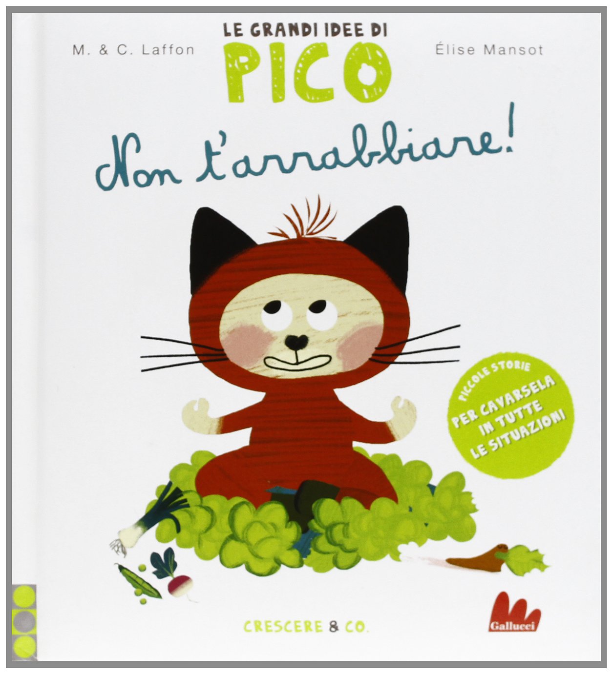 Non t'arrabbiare! Le grandi idee di Pico. Ediz. illustrata (Vol. 2) book