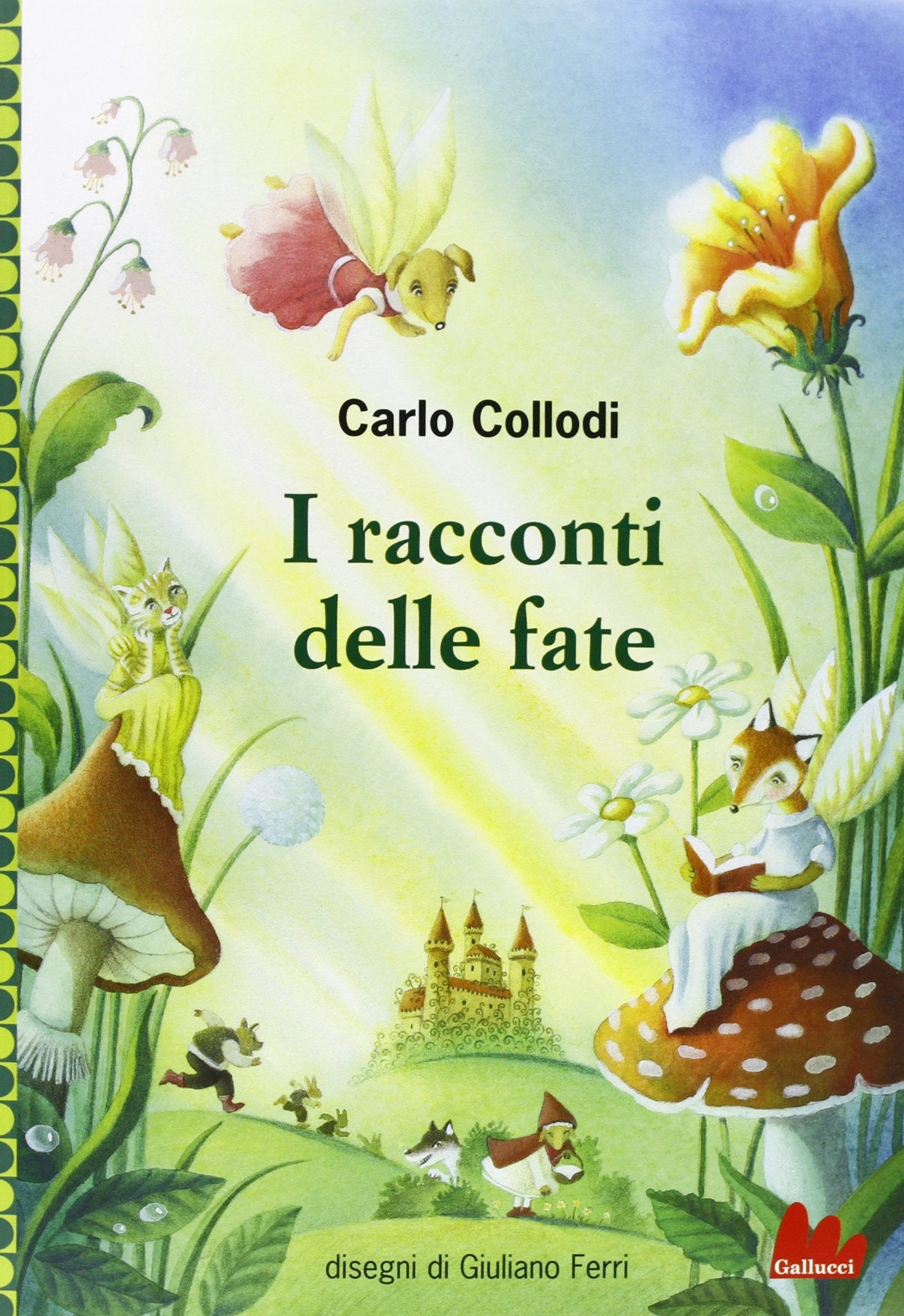 I racconti delle fate book