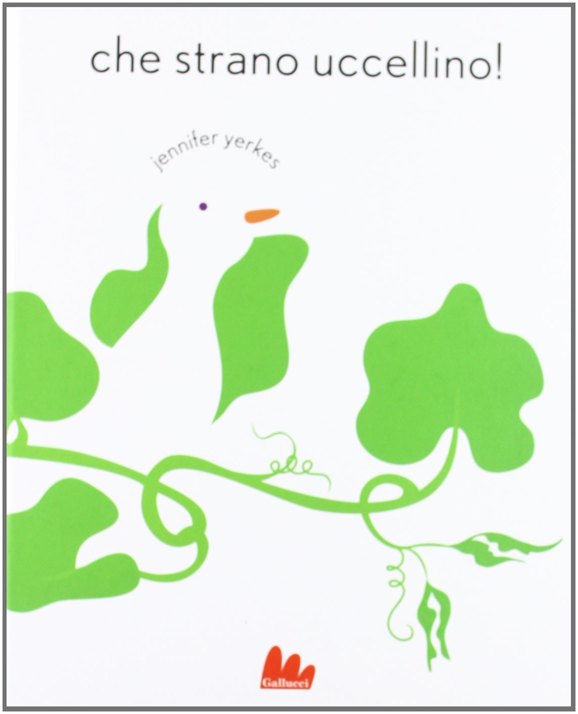 Che strano uccellino! Ediz. illustrata book