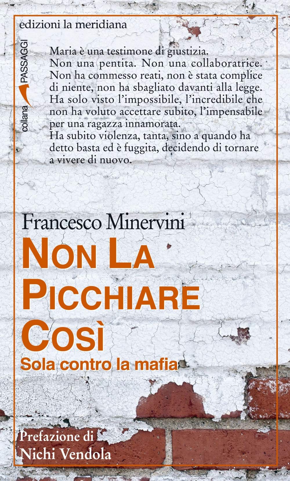 Non la picchiare così. Sola contro la mafia book