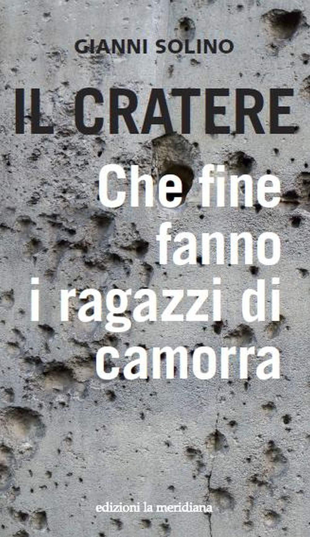 Il cratere. Che fine fanno i ragazzi di camorra (Paceinsieme... alle radici dell'erba) Social Sciences