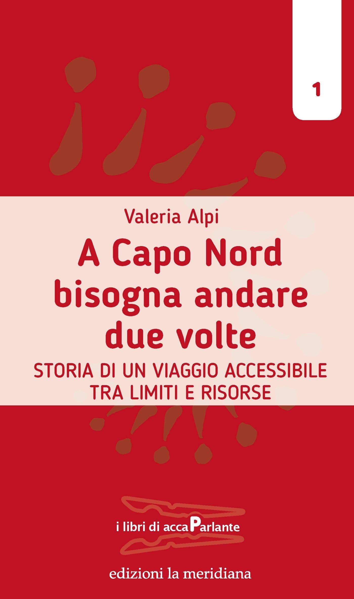 A Capo Nord bisogna andare due volte. Storia di un viaggio accessibile tra limiti e risorse book