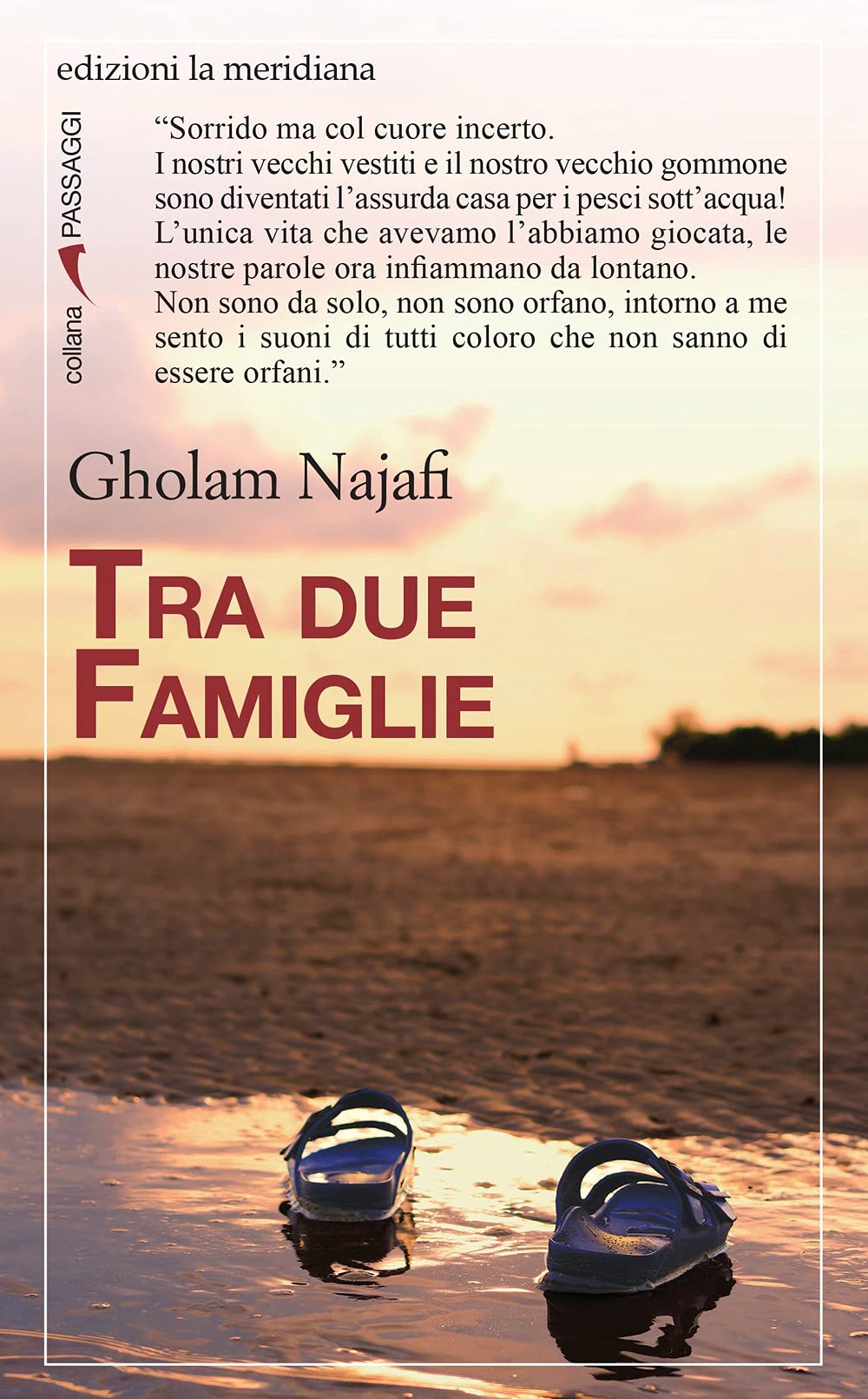 Tra due famiglie book