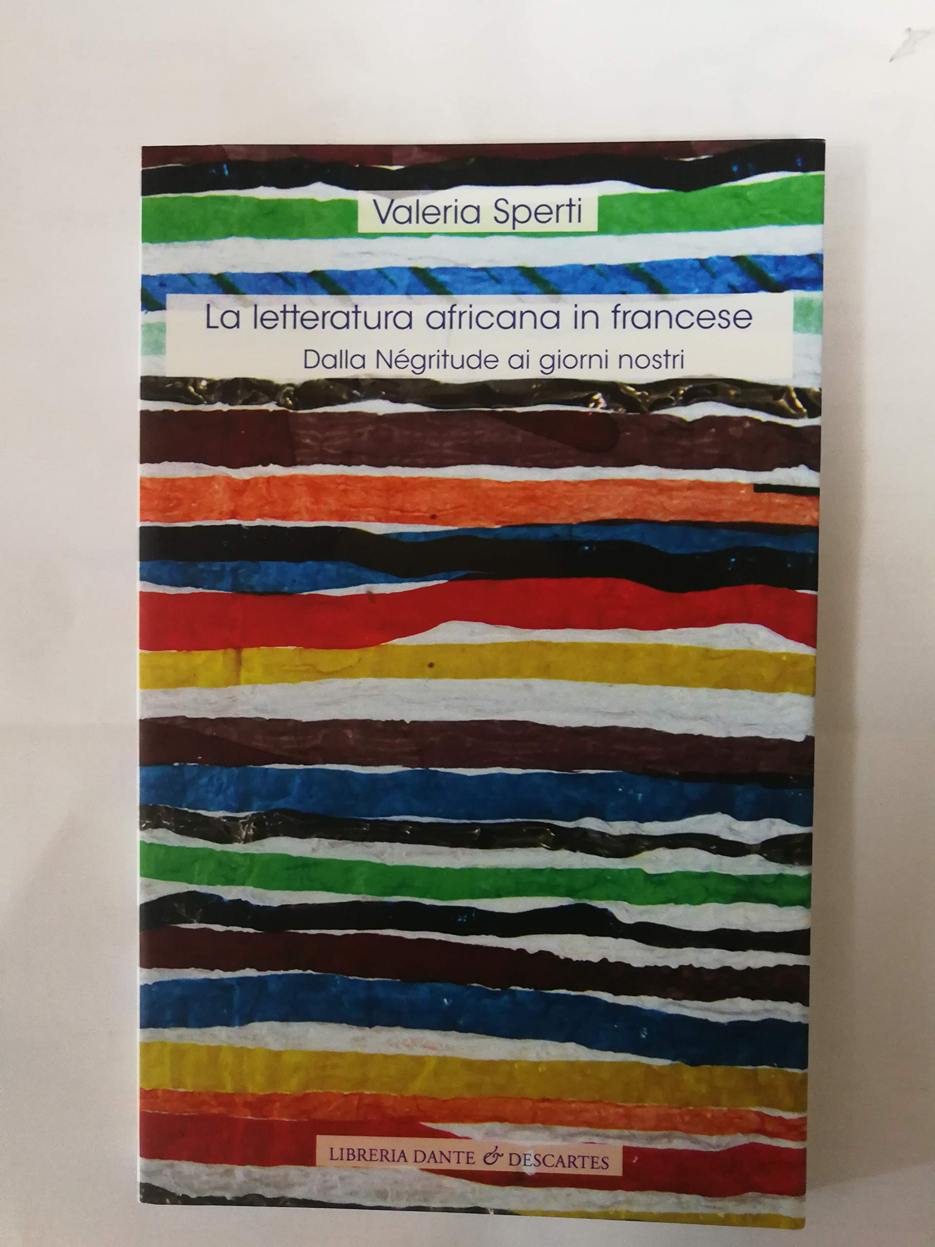La letteratura africana in francese. Dalla négritude ai giorni nostri Contemporary literature