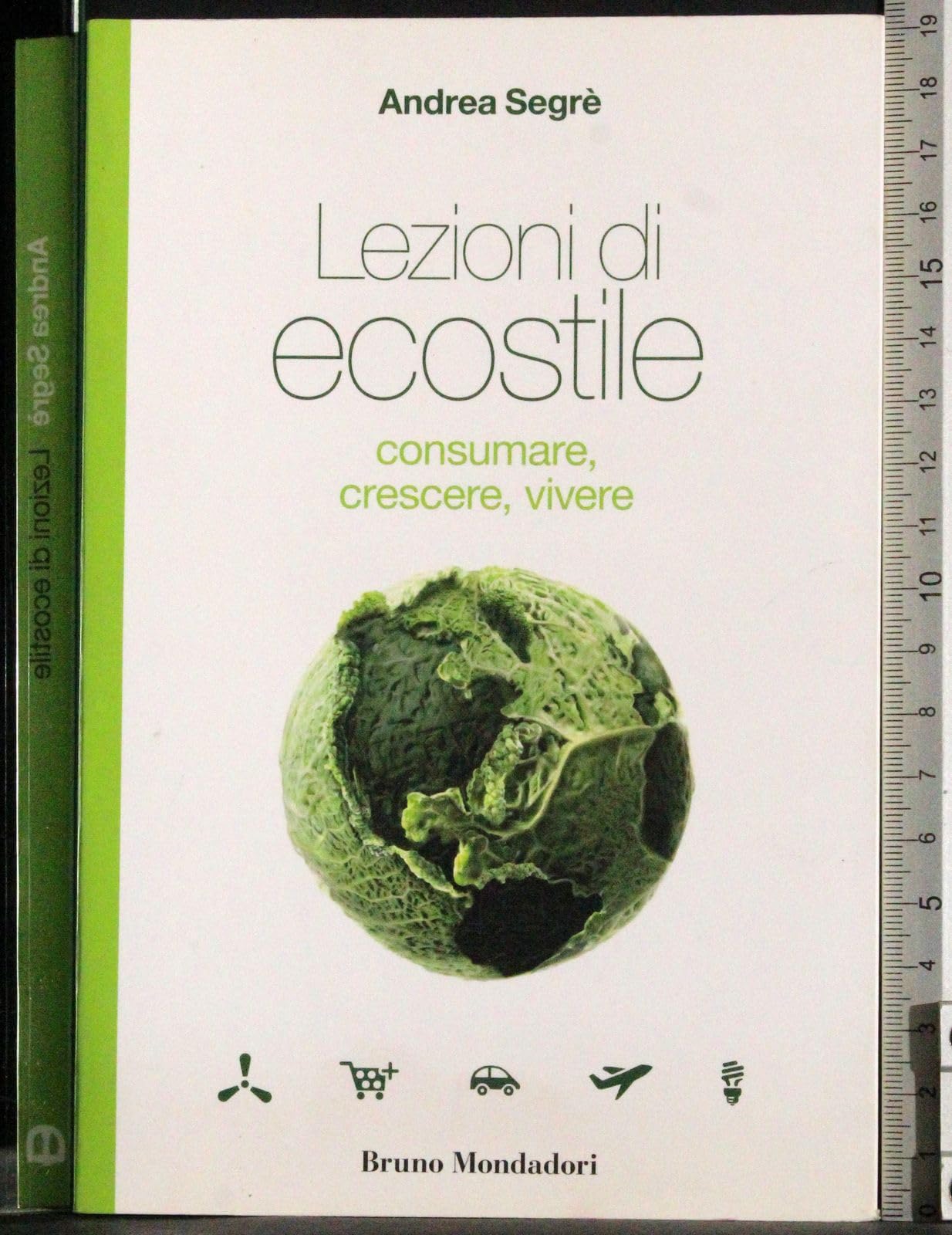 Lezioni di ecostile. Consumare, crescere, vivere (Testi e pretesti) Books