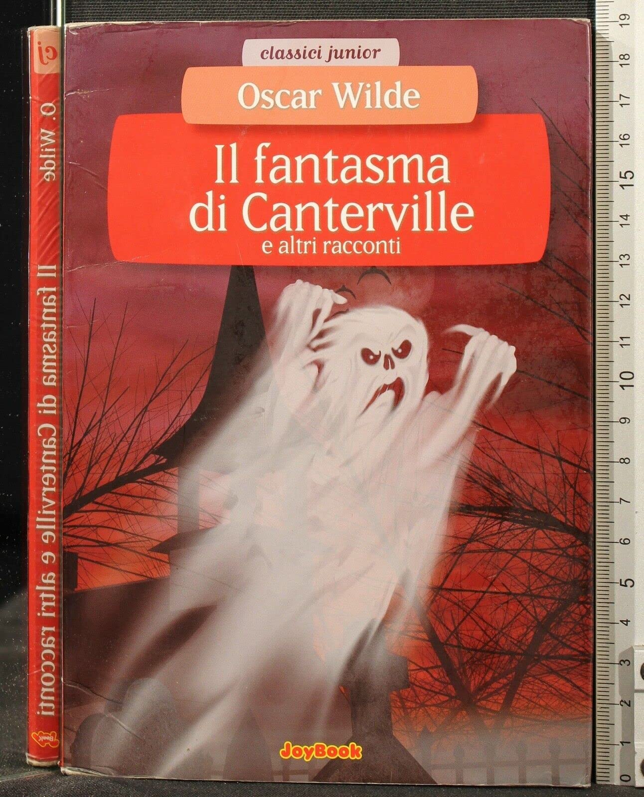 Il fantasma di Canterville book