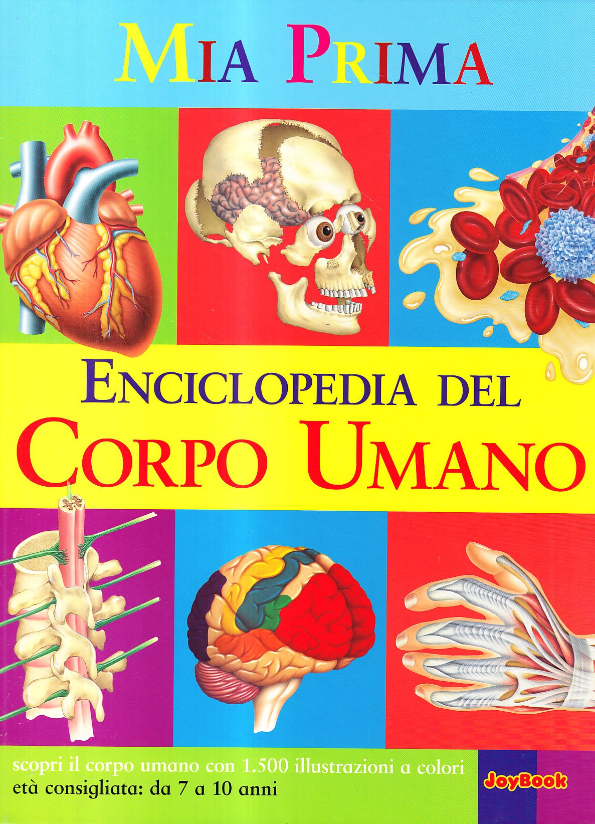La mia prima enciclopedia del corpo umano. Ediz. illustrata Non-fiction