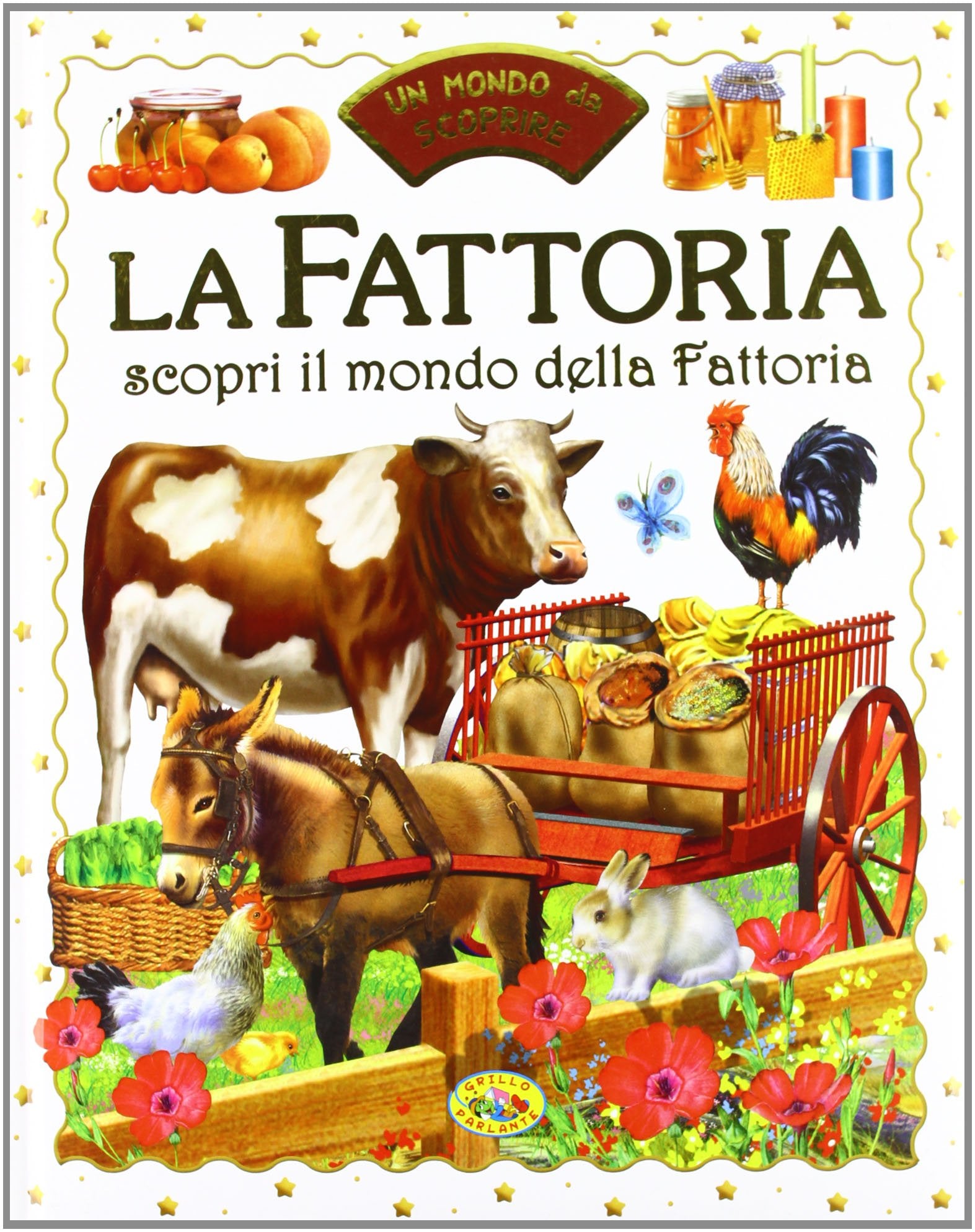 La fattoria. Scopri il mondo della fattoria book