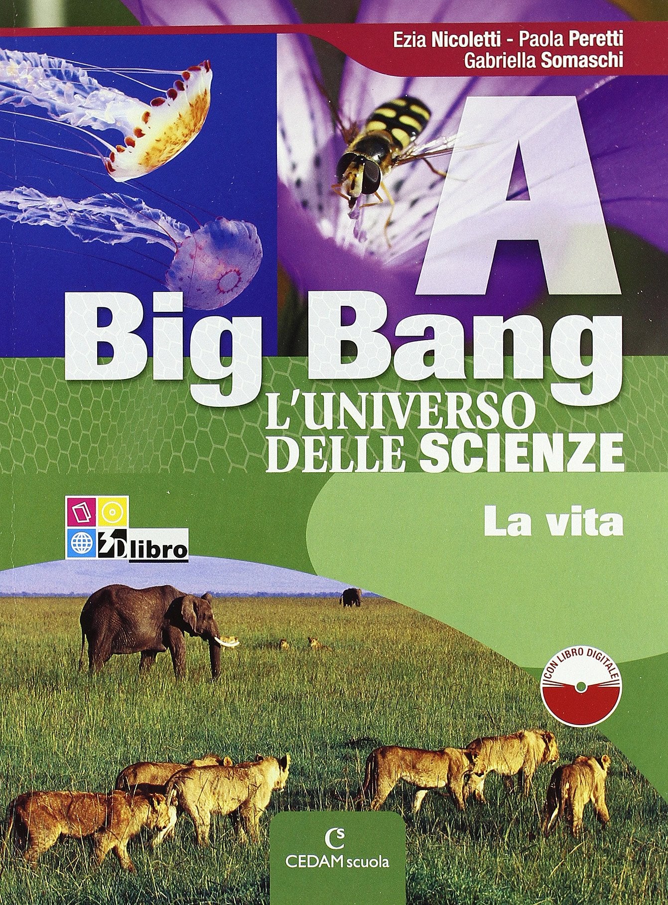 Big bang. L'universo delle scienze. Vol. A-B-C-D. Per la Scuola media. Con espansione online book