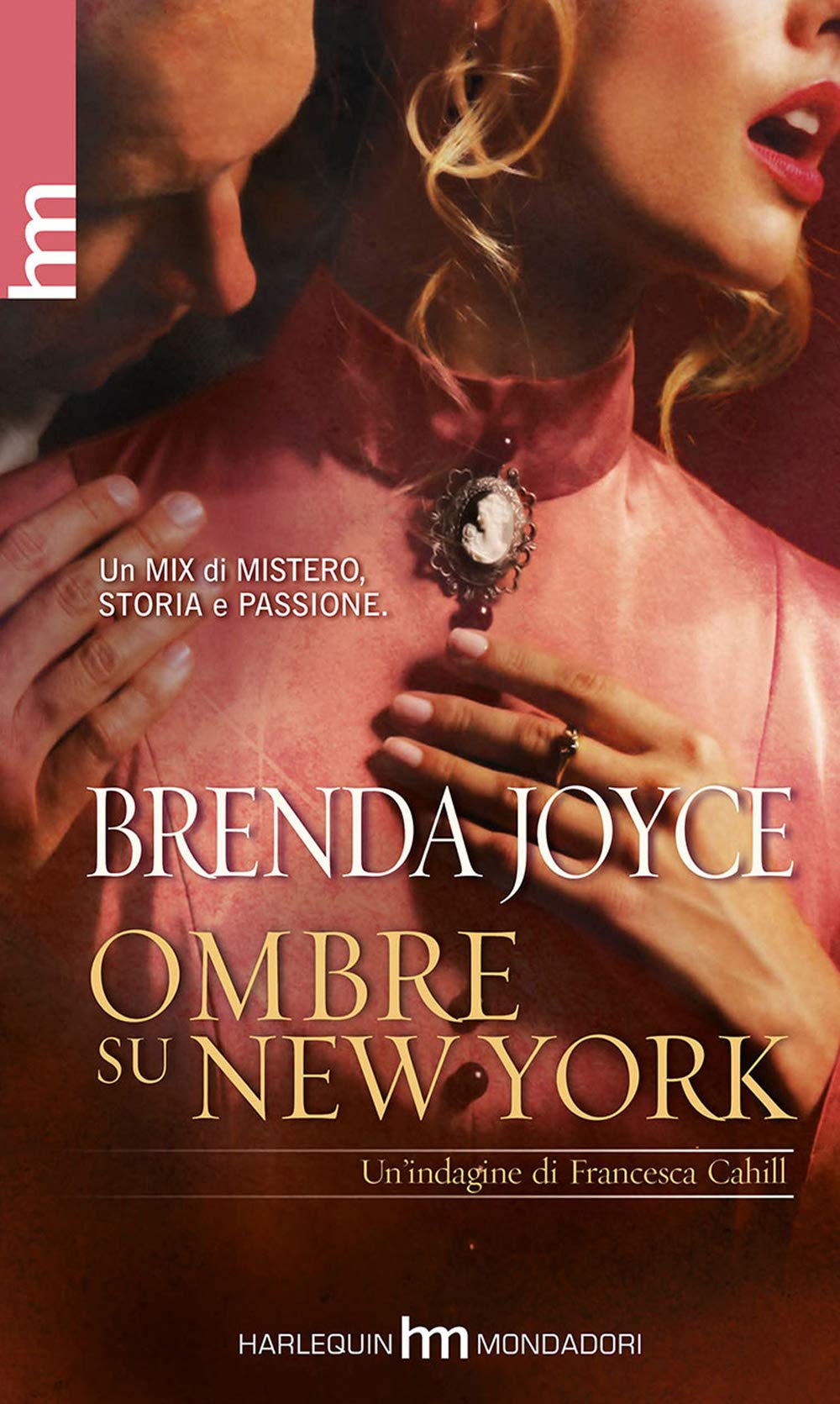 Ombre su New York. Un'indagine di Francesca Cahill book