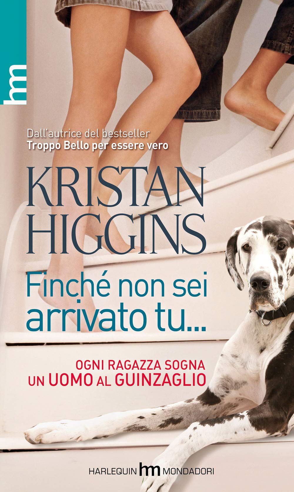 Finché non sei arrivato tu... (hm) Contemporary literature