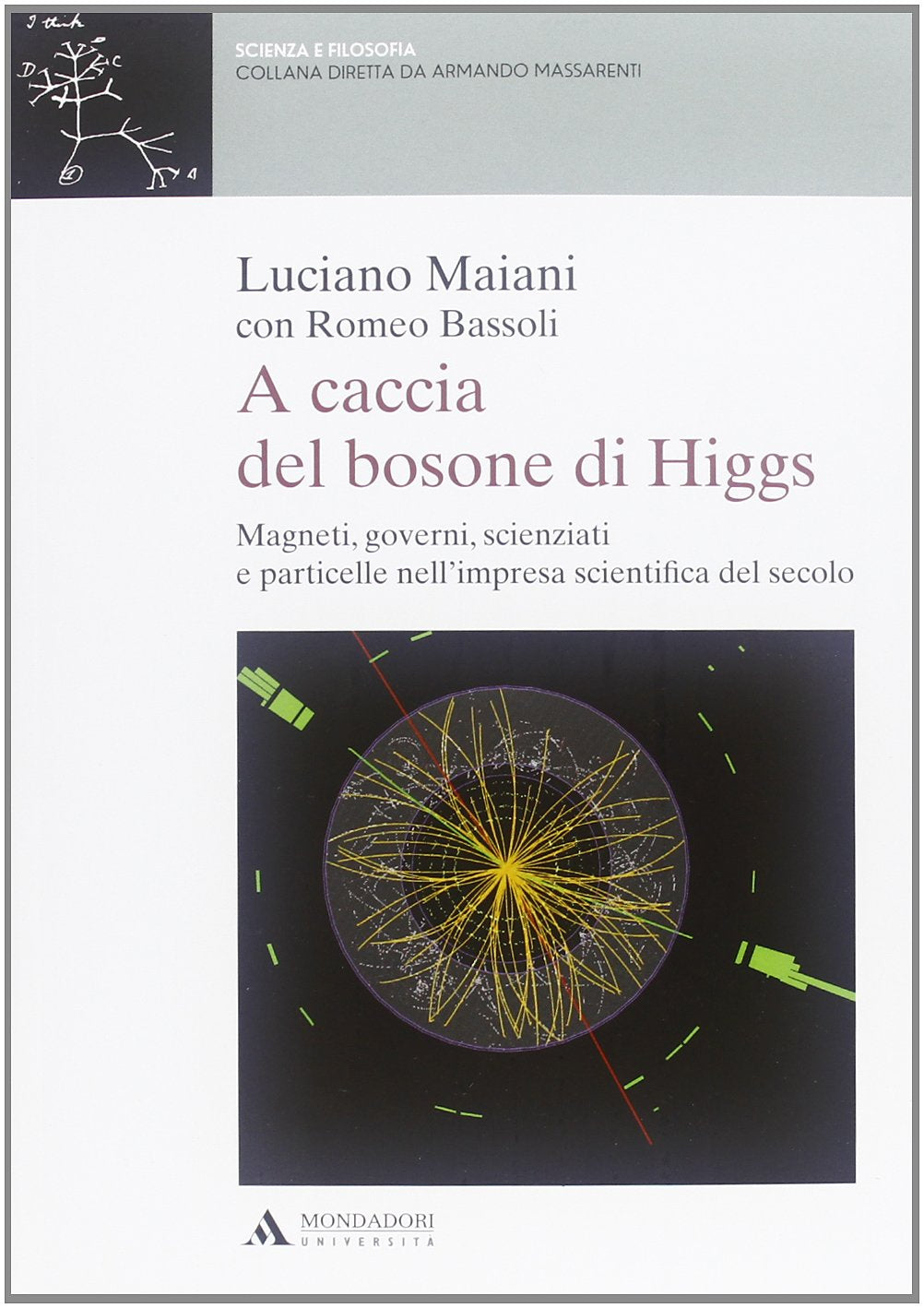 A caccia del bosone di Higgs. Magneti, governi, scienziati e particelle nell'impresa scientifica del secolo Natural Sciences